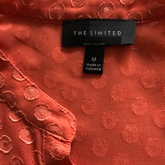 The Limited sheer blouse medium - Picture 3 of 7